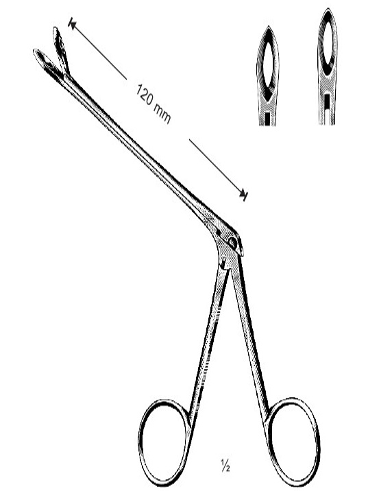 <span>Weil-Blakesley</span>