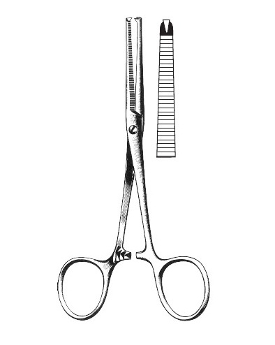 <span>Kocher</span>