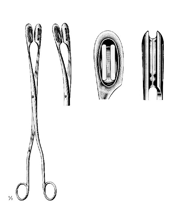 <span>Kranz</span>
