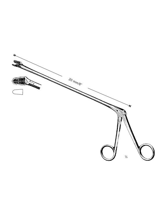 <span>Alexander</span>