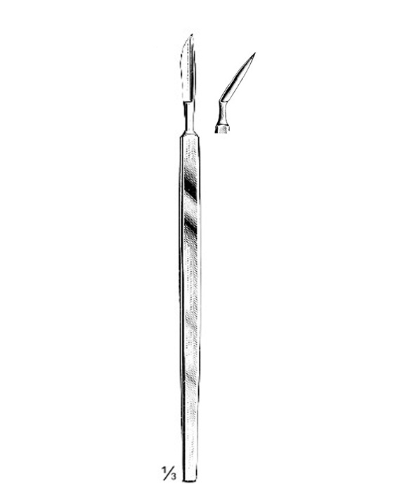 <span>Simon</span>