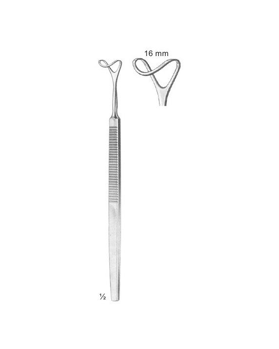 <span>Desmarres</span>