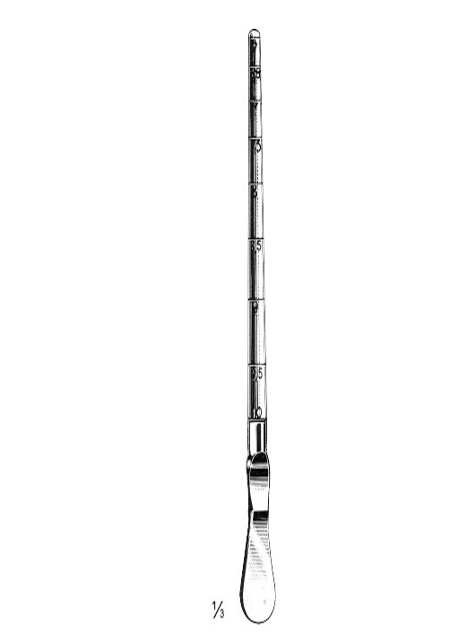 <span>Dittel</span>