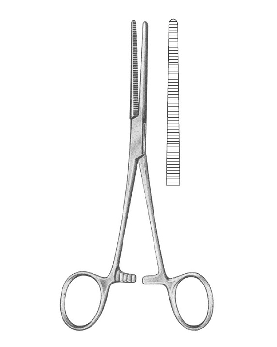 <span>Rochester-Péan</span>