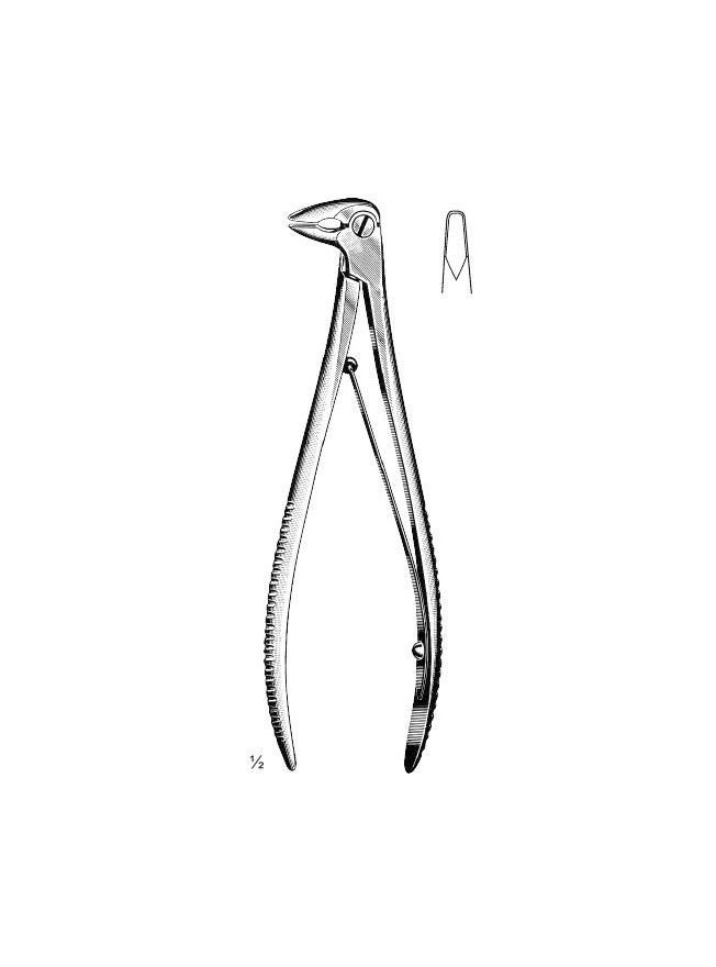<span>Luer</span>