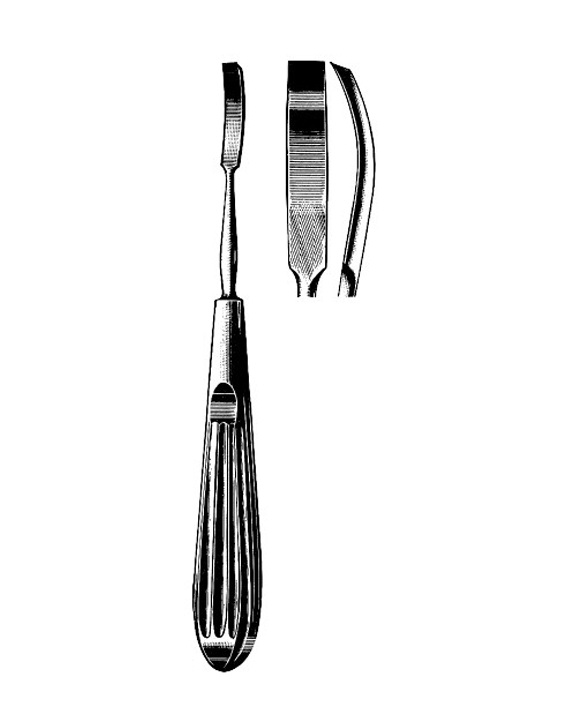 <span>Lempert</span>
