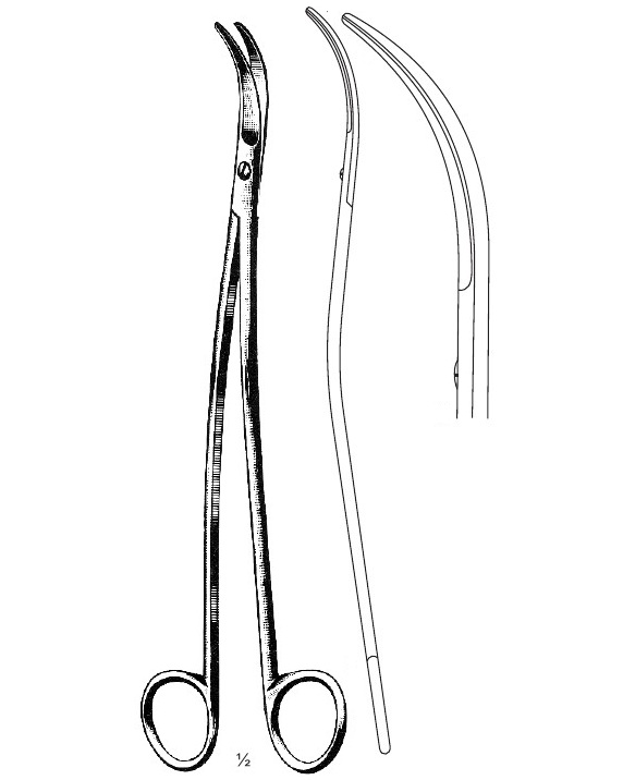 <span>Satinsky</span>