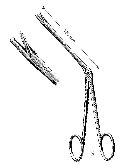 <span>Struycken</span>