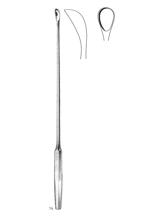 <span>Luer-Koerte</span>