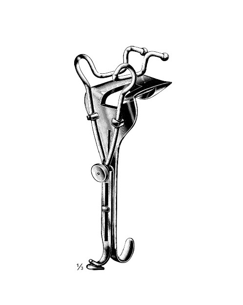 <span>Guttmann</span>