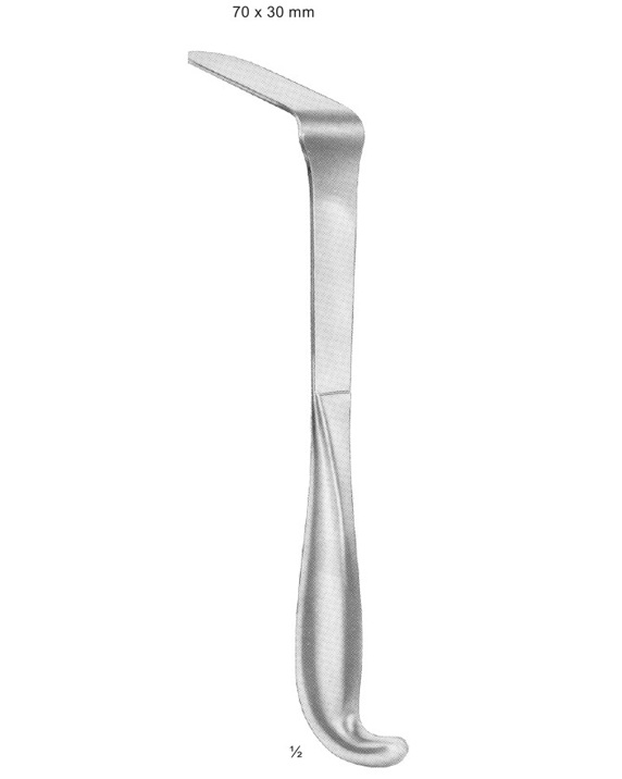 <span>Doyen</span>