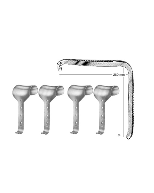 <span>Kirschner</span>