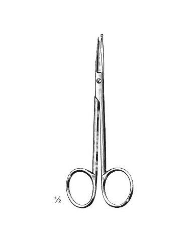 <span>Fine Dissecting & Vascular Scissor</span>