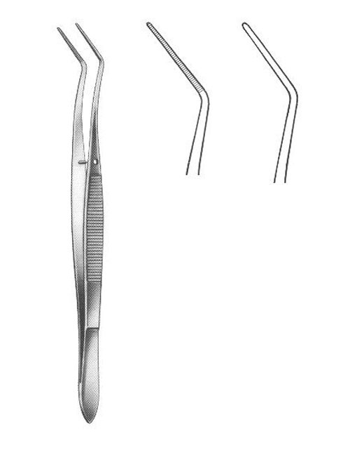 <span>Meriam </span>