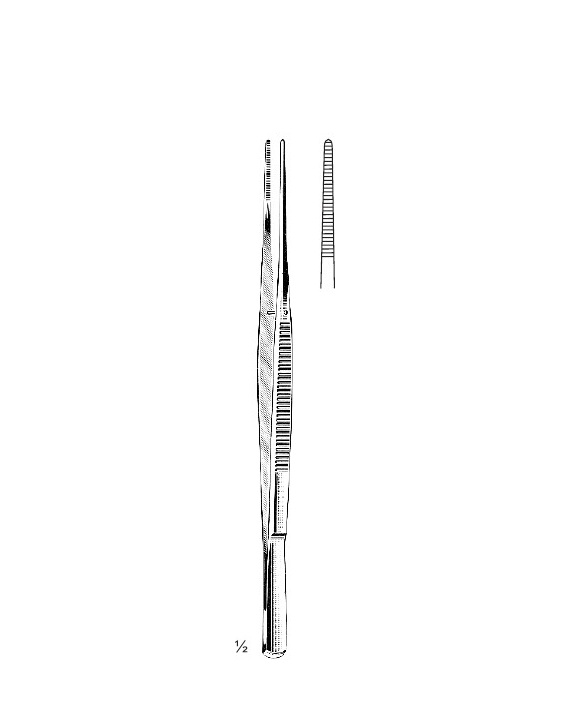 <span>Taylor</span>