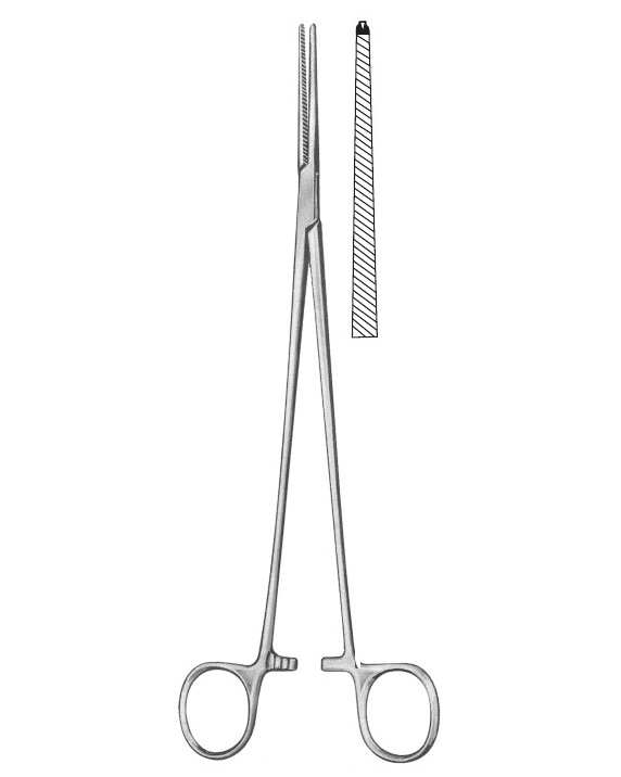 <span>Bengolea</span>