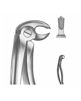 <span>Albrecht Lower Molars</span>