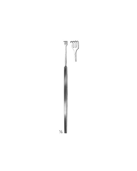 <span>Rollet (Blair)</span>
