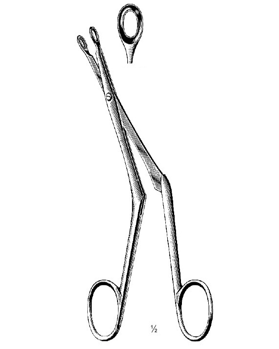 <span>Bruenings</span>