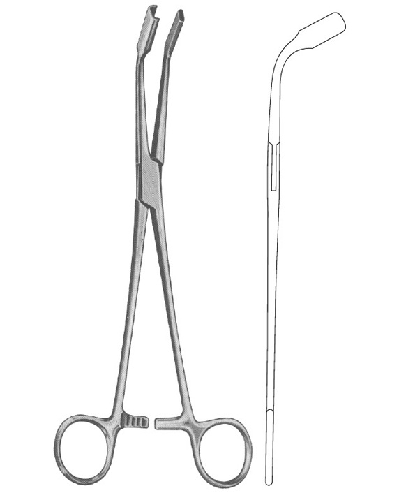 <span>Johns-Hopkins</span>