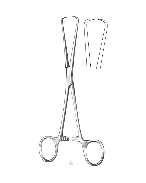 <span>Barrett</span>