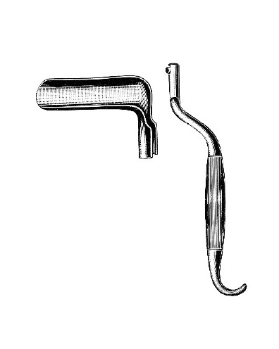 <span>Bozemann</span>