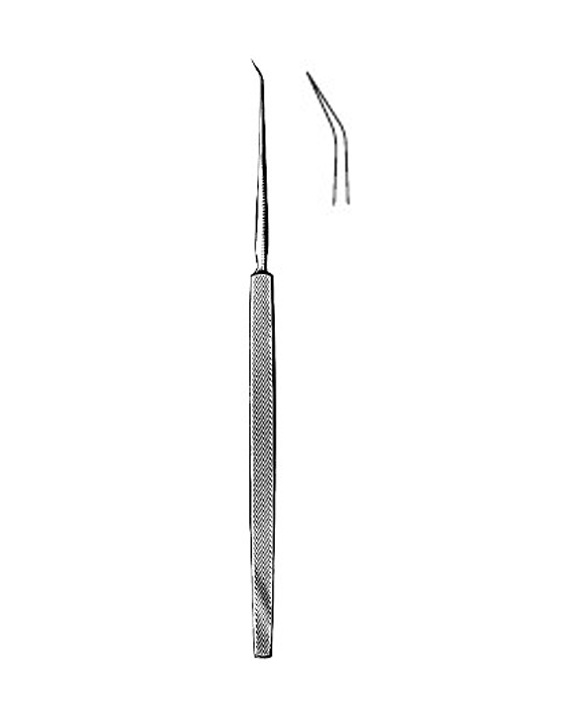 <span>Shambaugh</span>