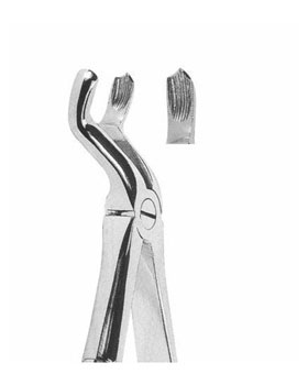 <span>Upper Third Molars Left </span>