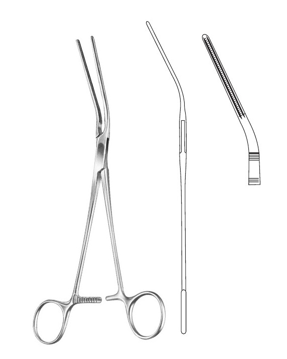 <span>Potts</span>