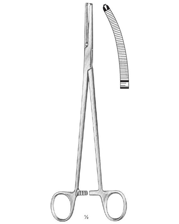 <span>Holzbach</span>