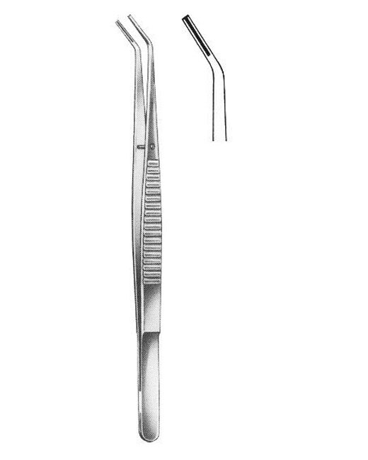 <span>Dental Tweezers </span>