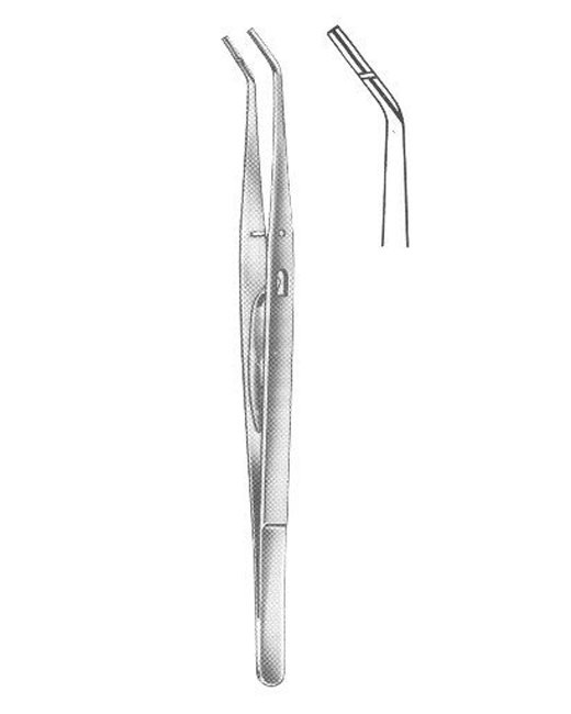 <span>Dental Tweezers</span>