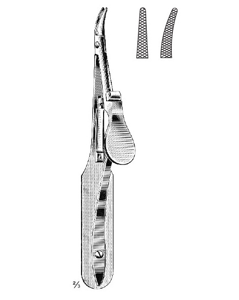 <span>Arruga</span>