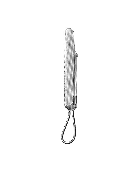 <span>Charriere</span>