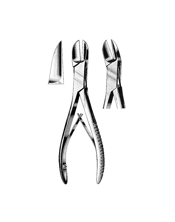 <span>Liston</span>