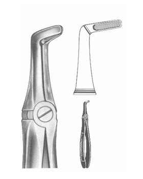 <span>Upper Roots</span>