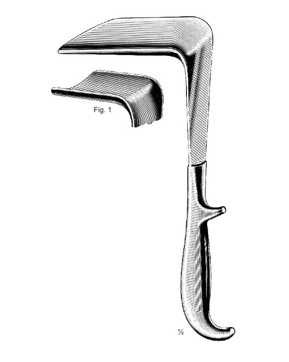 <span>Doyen</span>