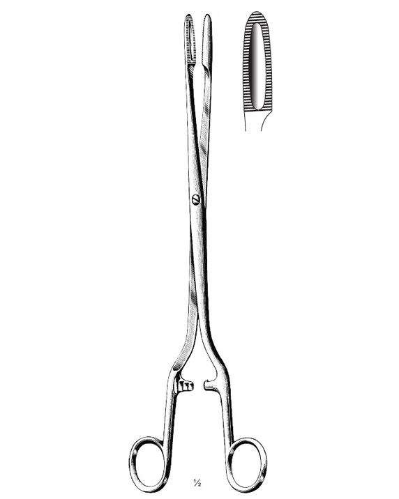 <span>Sims-Maier</span>