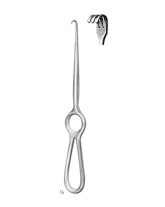 <span>Volkmann</span>