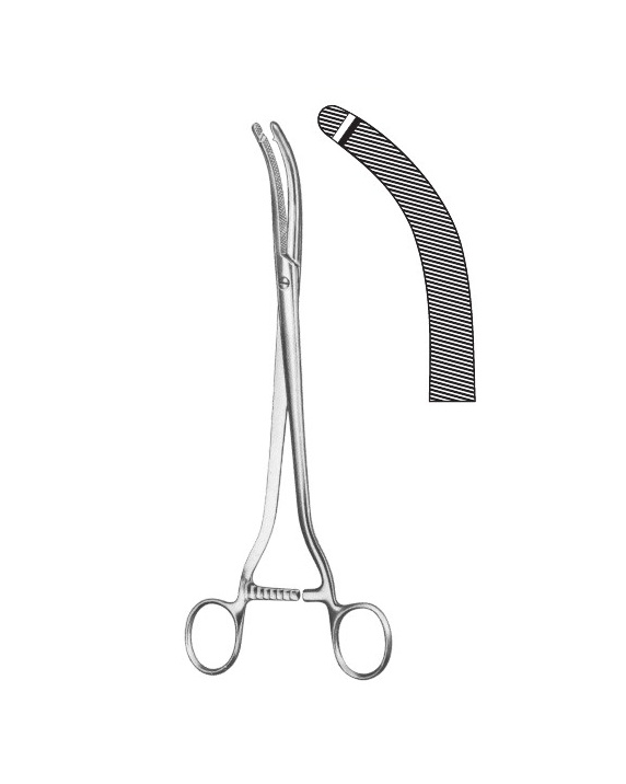 <span>Wiener Modell (Walzl)</span>