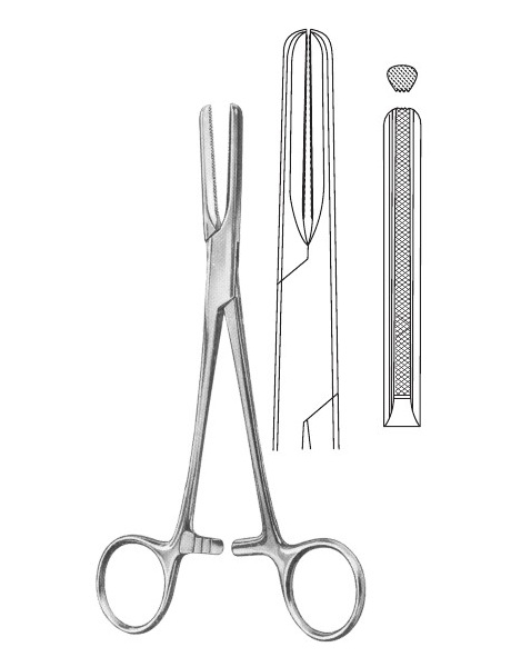 <span>Presbyterian</span>