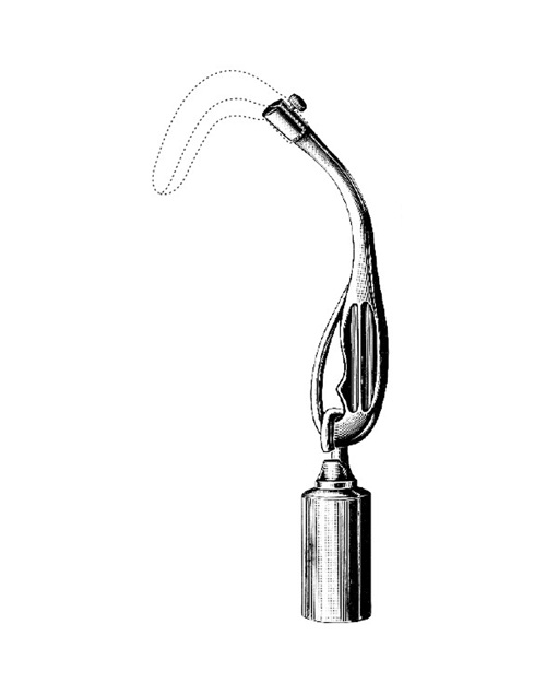 <span>Scherbak</span>