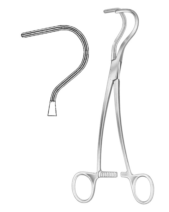 <span>Wylie “J”</span>