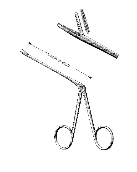 <span>Hartmann-Noyes</span>