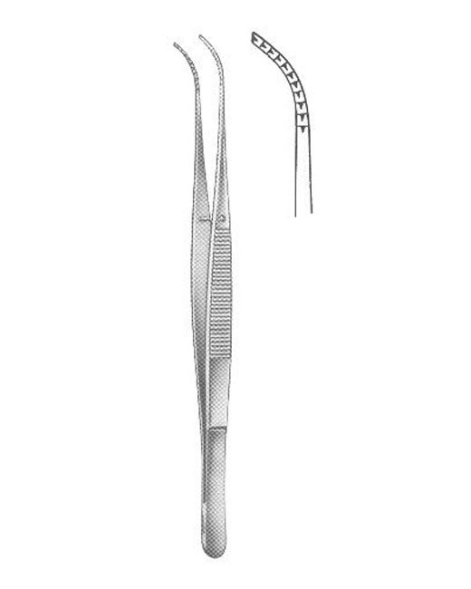 <span>Kopp</span>