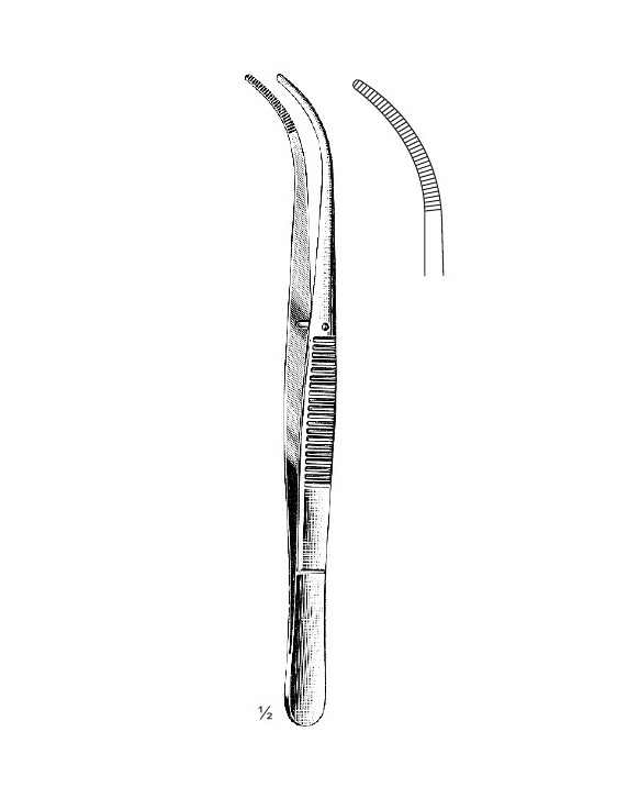 <span>Brophy</span>