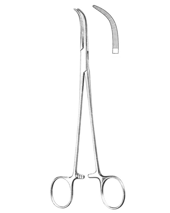 <span>Overholt</span>