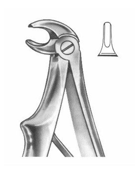 <span>Lower Incisors</span>
