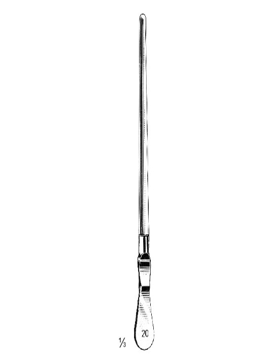 <span>Dittel</span>