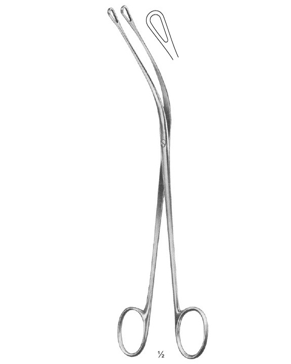 <span>Mixter</span>